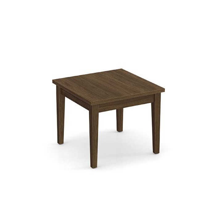 N9NE Furniture Group- Storlie - PL220 24X24 END TABLE- MODERN WALNUT