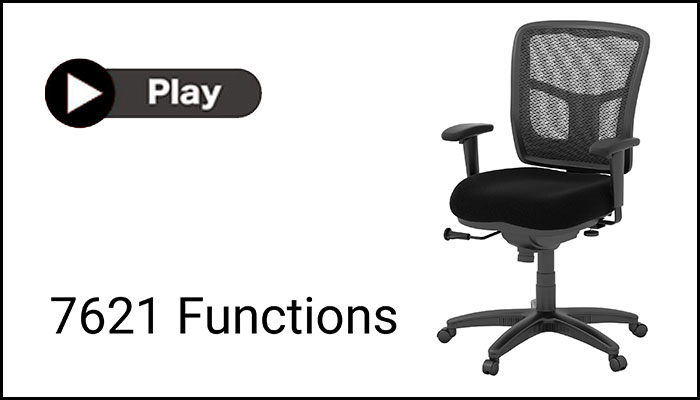 7621 functions