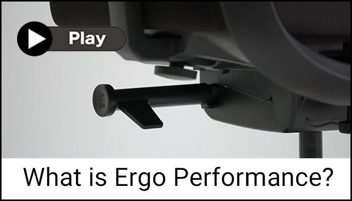 What is Ergo